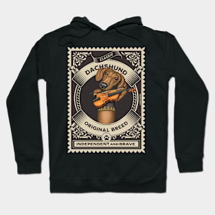 Cute Dachshund playing violin in classic circle Hoodie